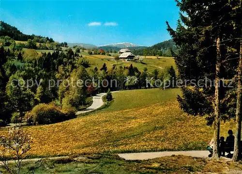 AK / Ansichtskarte Hinterzarten Feldbergblick Hinterzarten