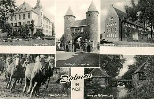 AK / Ansichtskarte Duelmen Gymnasium Rathaus Luedinghauser Tor Wildpferde Grosse Teichmuehle Duelmen