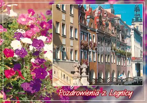 AK / Ansichtskarte Legnica Haeuserpartie Innenstadt Blumen Legnica