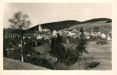 AK / Ansichtskarte Olesnice_v_Orlickych_Horach_Czechia Panorama 