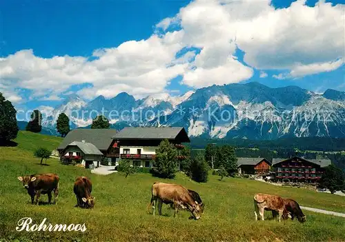 AK / Ansichtskarte Rohrmoos Untertal Urlaub am Bauernhof Viehweide Kuehe Alpen Rohrmoos Untertal