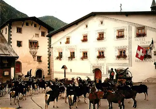 AK / Ansichtskarte Muestair Hotel Tschierv Restorante Ziegenherde Muestair