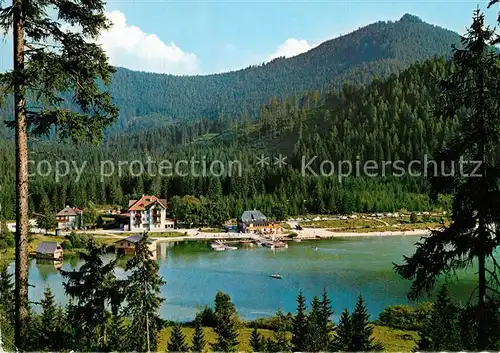 AK / Ansichtskarte Mariazell_Steiermark Erlaufsee  Mariazell_Steiermark