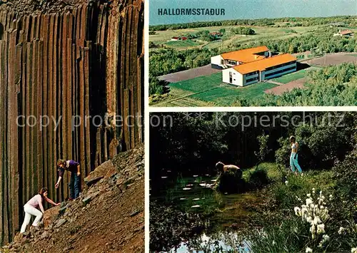 AK / Ansichtskarte Hallormsstadur_Island Sommerhotel Birkenwald S?ulenbasalt  