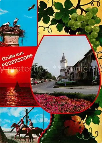 AK / Ansichtskarte Podersdorf_Neusiedler_See Weissstorchfamilie Steppensee Pfarrkirche  Podersdorf_Neusiedler_See