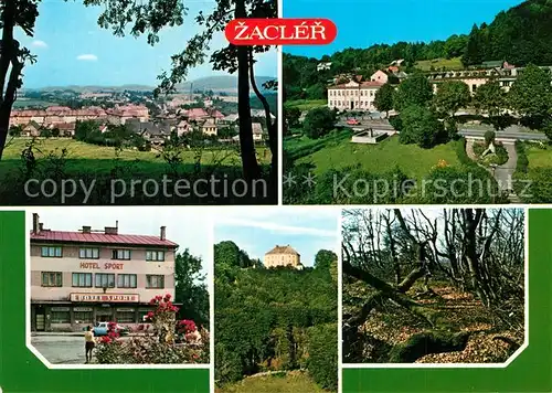 AK / Ansichtskarte Zacler Panorama Hotel Rathaus Burg Partie im Wald Zacler