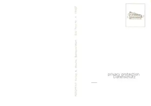 AK / Ansichtskarte Immenstaad_Bodensee Panorama Alpenblick Uferpromenade Hafen Fliegeraufnahme Immenstaad_Bodensee