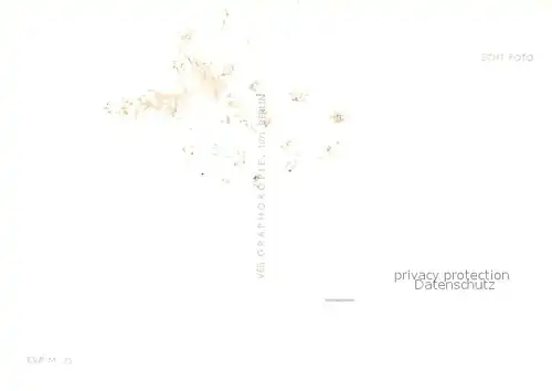 AK / Ansichtskarte Finow_Eberswalde Tierpark Gaststaette Platz der Freundschaft Finow Eberswalde