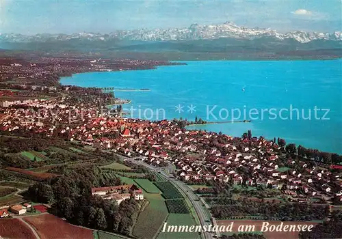 AK / Ansichtskarte Immenstaad_Bodensee Schloss Hersberg mit Alpen Fliegeraufnahme Immenstaad_Bodensee