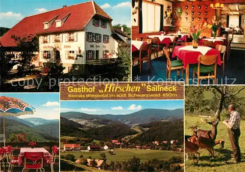 AK / Ansichtskarte Sallneck Gasthof Hirschen Landschaftspanorama Kleines Wiesental Schwarzwald Rehe Sallneck