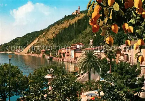 AK / Ansichtskarte Maderno_Lago_di_Garda Haeuserpartie am Gardasee Zitronenbaum Maderno_Lago_di_Garda