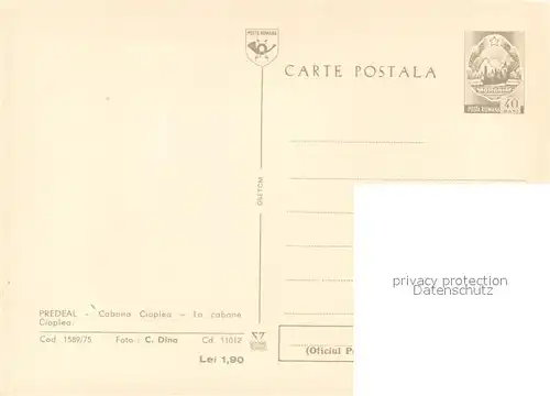 AK / Ansichtskarte Predeal Cabana Ciaplea Predeal