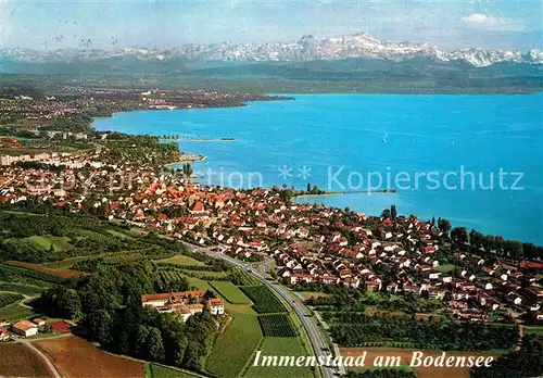 AK / Ansichtskarte Immenstaad_Bodensee mit Schloss Hersberg Alpenblick Fliegeraufnahme Immenstaad_Bodensee