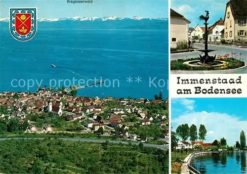 AK / Ansichtskarte Immenstaad_Bodensee Alpenblick Bregenzerwald Fliegeraufnahme Brunnen Uferpartie am See Immenstaad_Bodensee