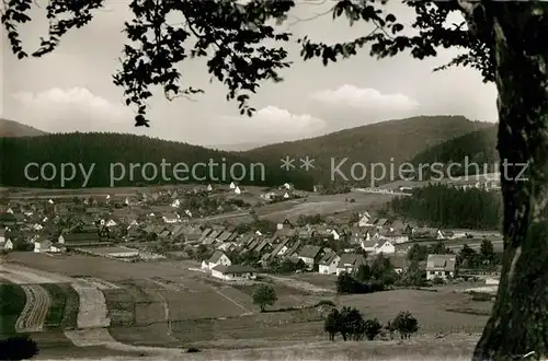 AK / Ansichtskarte Wolfshagen_Harz  Wolfshagen Harz