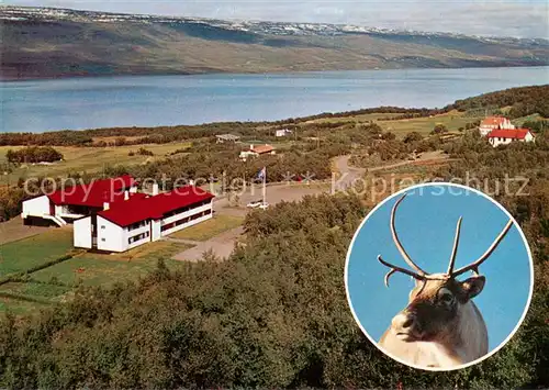 AK / Ansichtskarte Hallormsstadur_Island Fliegeraufnahme mit Elch 