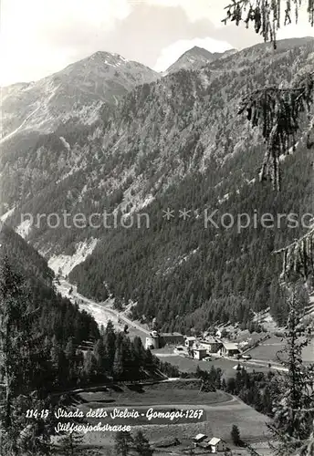 AK / Ansichtskarte Stilfserjoch_Passo_dello_Stelvio Stilfserjochstrasse 