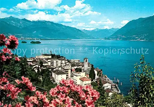 AK / Ansichtskarte Brissago_Lago_Maggiore Panorama Brissago_Lago_Maggiore