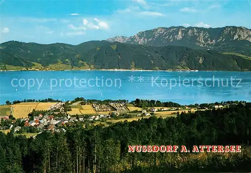 AK / Ansichtskarte Nussdorf_Attersee Panorama Campingplaetze Wiesinger Graus und Gruber mit Hoellengebirge Nussdorf Attersee