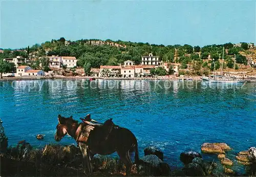 Kassiopi Panorama Kassiopi