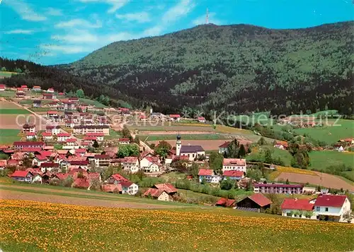AK / Ansichtskarte Rimbach_Bayrischer_Wald mit Hohenbogen Rimbach_Bayrischer_Wald