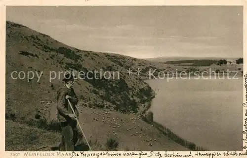 AK / Ansichtskarte Weinfelder_Maar Panorama Schaefer mit Schafherde Weinfelder Maar