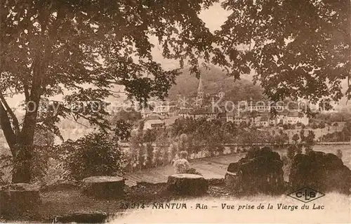 Nantua Vue prise de la Vierge du Lac Nantua