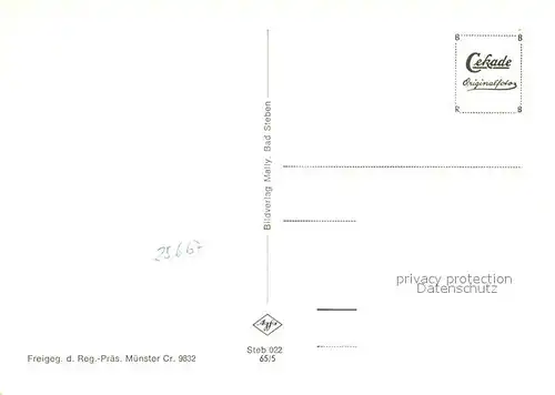 AK / Ansichtskarte Bad_Steben Fliegeraufnahme Bad_Steben