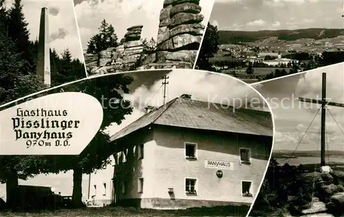 AK / Ansichtskarte Gruenwald_Muehlkreis Gasthaus Pisslinger Panyhaus Gruenwald Muehlkreis