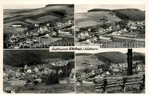 AK / Ansichtskarte Steina_Suedharz Panoramen Steina Suedharz