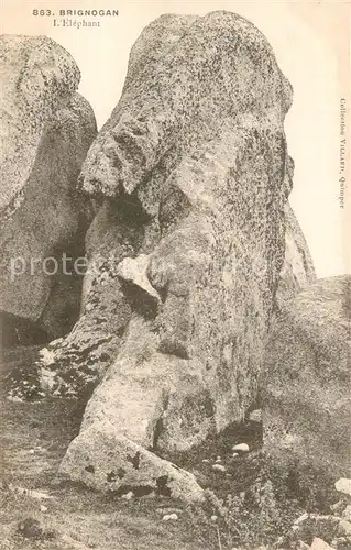 Brignogan Elephant Felsformation Brignogan