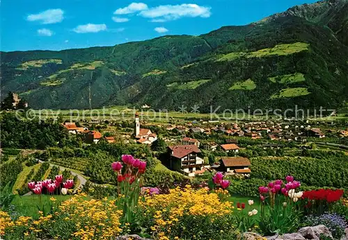 AK / Ansichtskarte Naturns Panorama Blumen Naturns