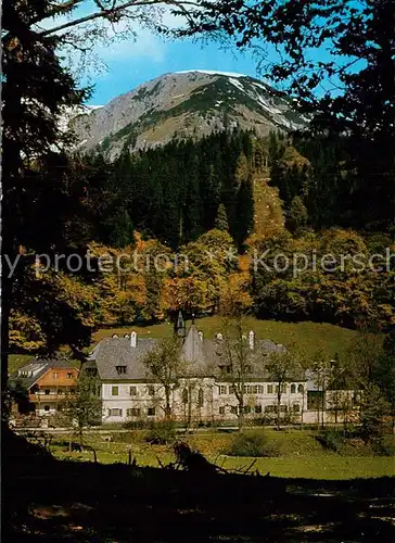 AK / Ansichtskarte Mariazell_Steiermark Schloss Brandhof Bauerngut am Seeberg Mariazell_Steiermark