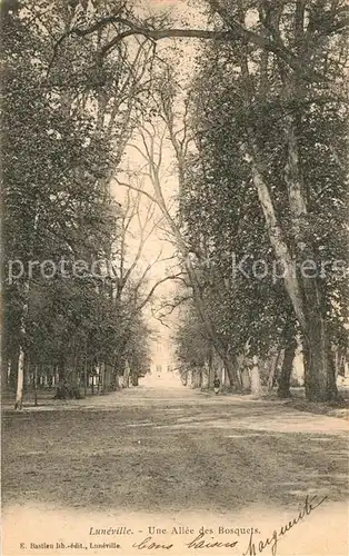 AK / Ansichtskarte Luneville Allee des bosquets Luneville