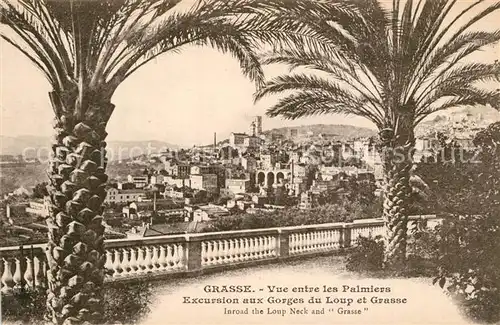 AK / Ansichtskarte Grasse_Alpes_Maritimes Vue entre les palmiers Grasse_Alpes_Maritimes
