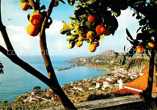 AK / Ansichtskarte Funchal  Funchal