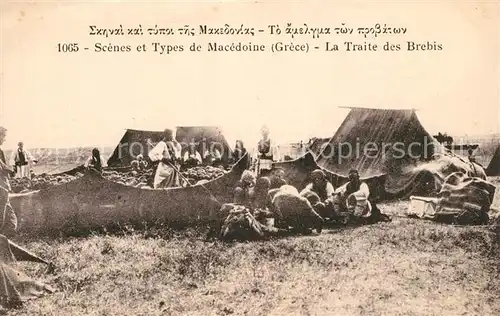 AK / Ansichtskarte Mazedonien Scenes et Types de Macedoine la Traite des Brebis Mazedonien