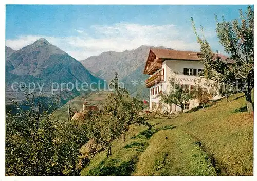 AK / Ansichtskarte Schenna_Meran Pension Cafe Hohenwart Schenna Meran