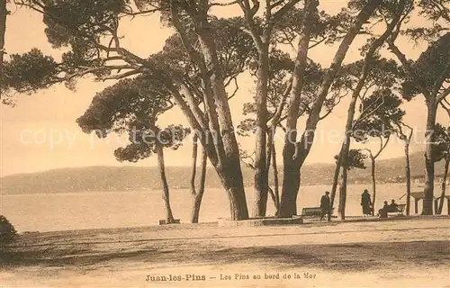 AK / Ansichtskarte Juan les Pins Les pins au bord de la mer Cote d Azur Juan les Pins