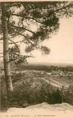 AK / Ansichtskarte Bligny_Marne Le Petit Fontainebleau Bligny Marne