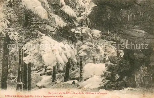 AK / Ansichtskarte Saint Die des Vosges Sous bois Roches a l Ormont Saint Die des Vosges