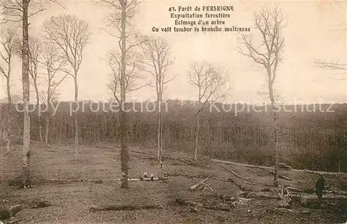 AK / Ansichtskarte Perseigne_Alencon A la foret Exploitation ferestiere 