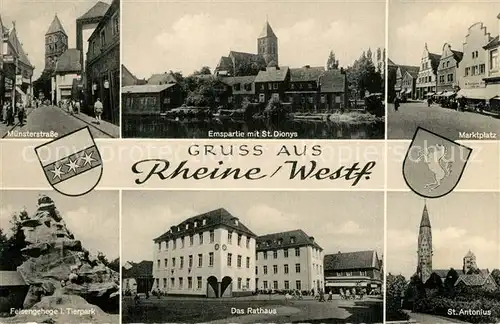 AK / Ansichtskarte Rheine Muensterstrasse Marktplatz Sankt Dionys Felsengebirge Tierpark Rathaus Rheine