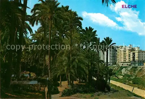 AK / Ansichtskarte Elche Parque Municipal Hort de baix Elche