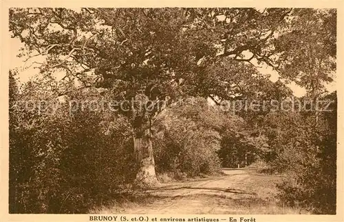 AK / Ansichtskarte Brunoy et environs artistiques en foret Brunoy
