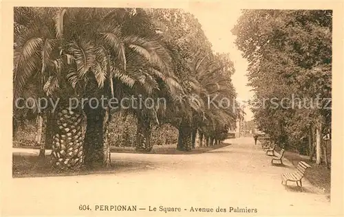 AK / Ansichtskarte Perpignan Le Square Avenue des Palmiers Perpignan