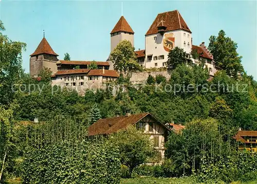 Burgdorf_Bern Schloss Burgdorf Bern