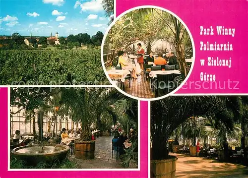 Zielona_Gora Park Winny Palmiarnia Zielona Gora