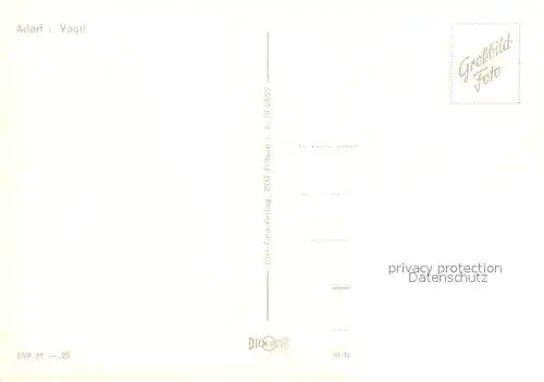 Adorf_Vogtland Panorama Adorf_Vogtland