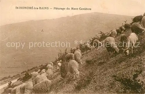 AK / Ansichtskarte Schafe St. Honore les Bains Paturage du Mont Genievre  